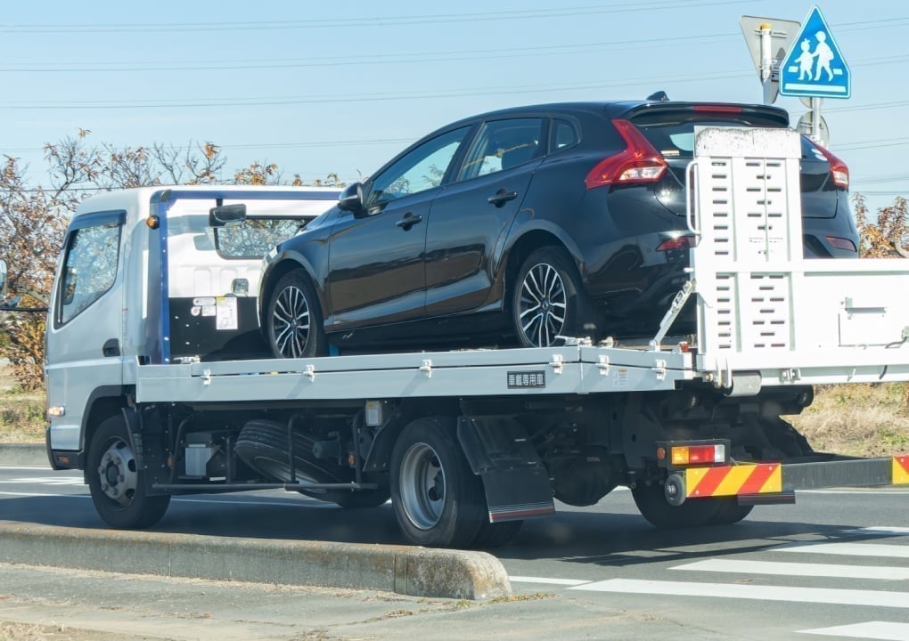 コンテンツ内画像