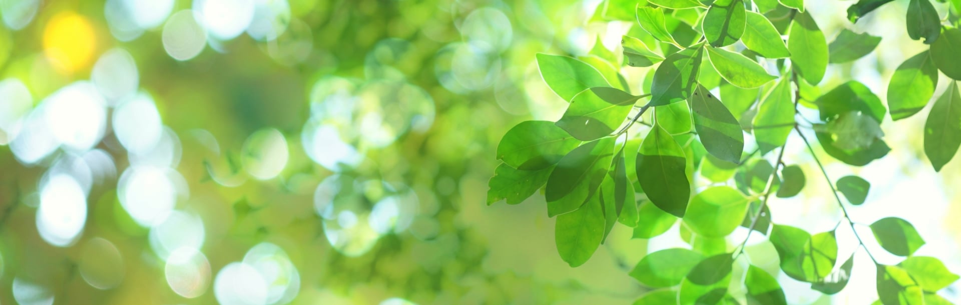 ファーストビュー画像