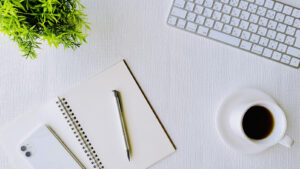 HPを開設しました！ぜひご覧ください